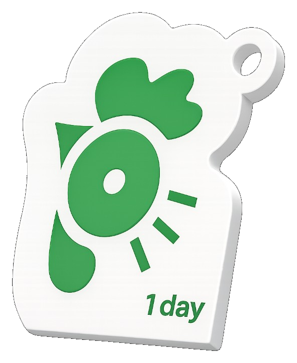 Matera City Pass - 1 Day