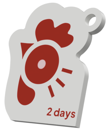 Pass 2 Tage