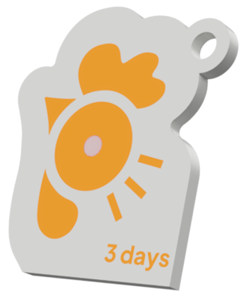 Pass 3 Tage